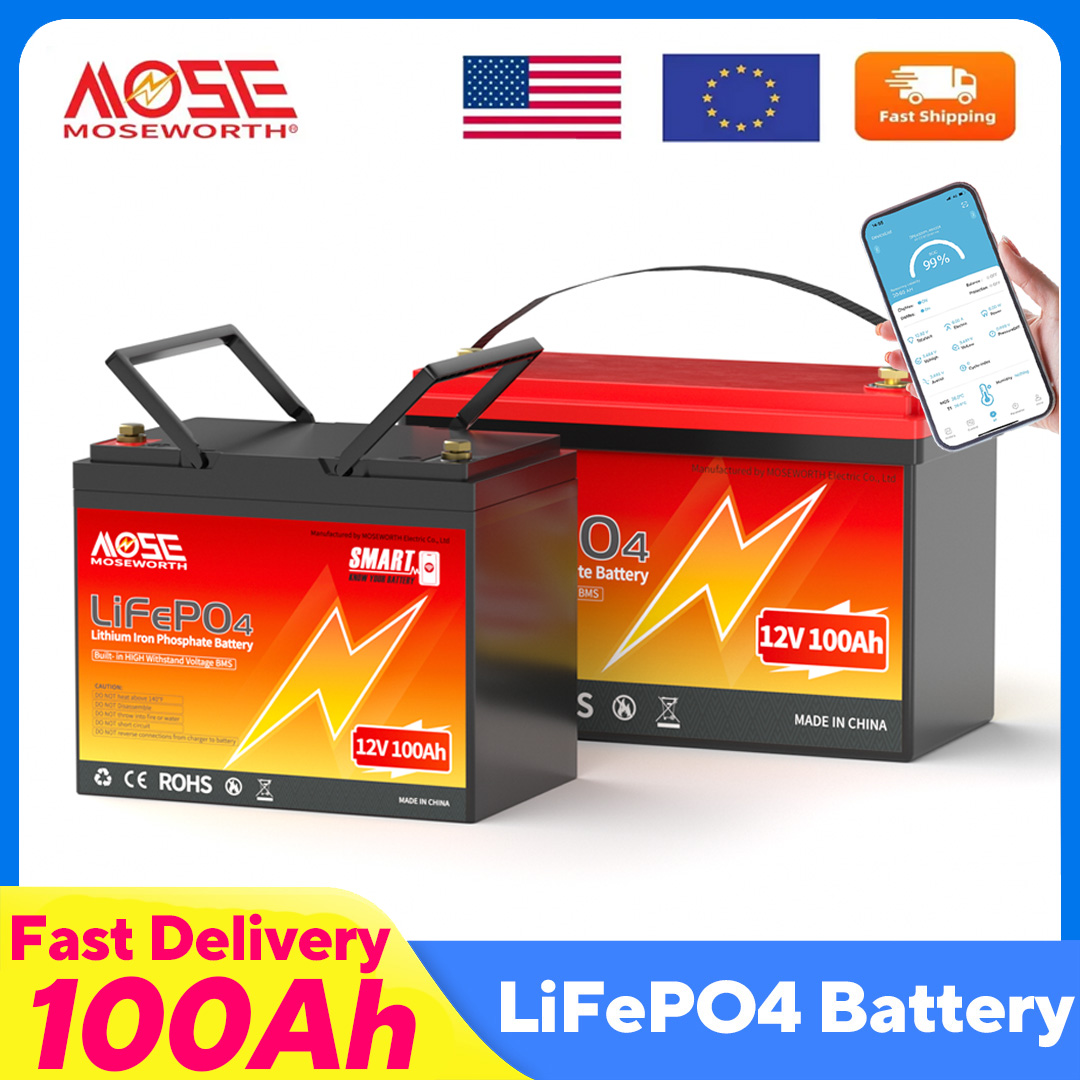 MOSEWORTH LiFePO4 12V 100Ah Ba - Lifepo4 12V 100Ah Bms Bluetooth review and price